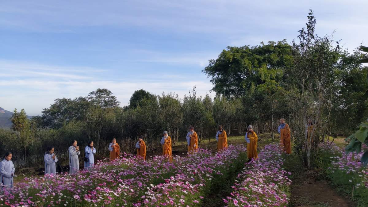 Tinh Hoa NIKAYA Giảng Giải 2 - Dẫn Nhập - Toàn Cảnh Thế Giới