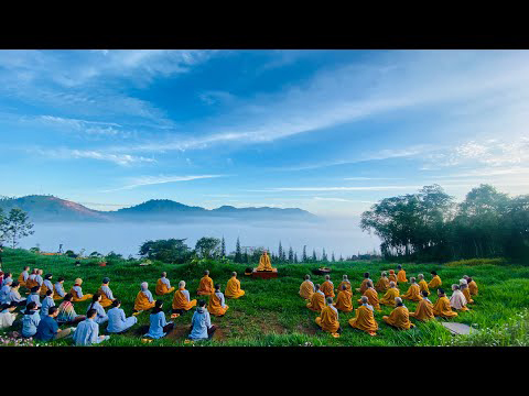 NIKAYA Thiền Quán - Xả Vô Lượng Tâm 4 ( 2024) - Xả Bỏ Chấp Thân