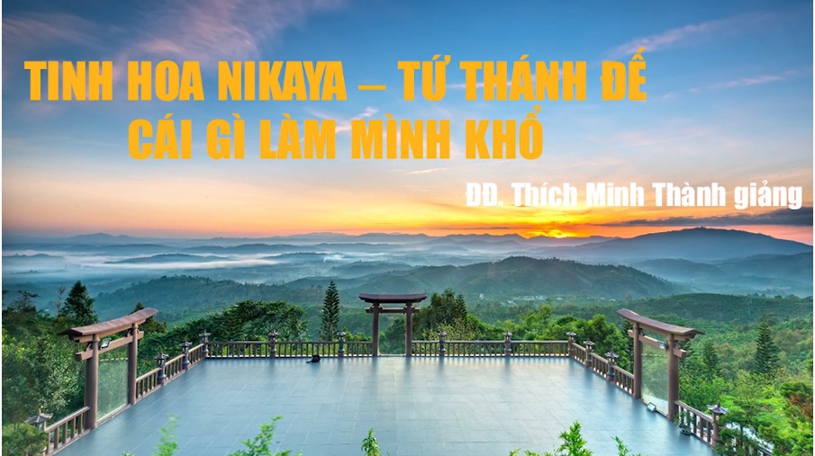 TINH HOA NIKAYA – TỨ THÁNH ĐẾ - CÁI GÌ LÀM MÌNH KHỔ