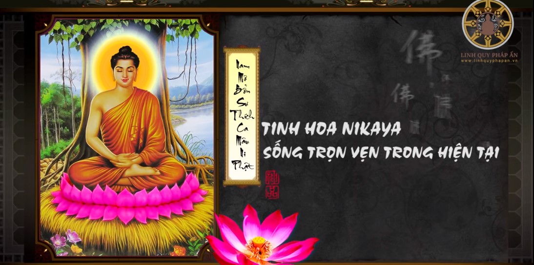 Tinh Hoa NIKAYA – Sống trọn Vẹn Trong Hiện Tại 1