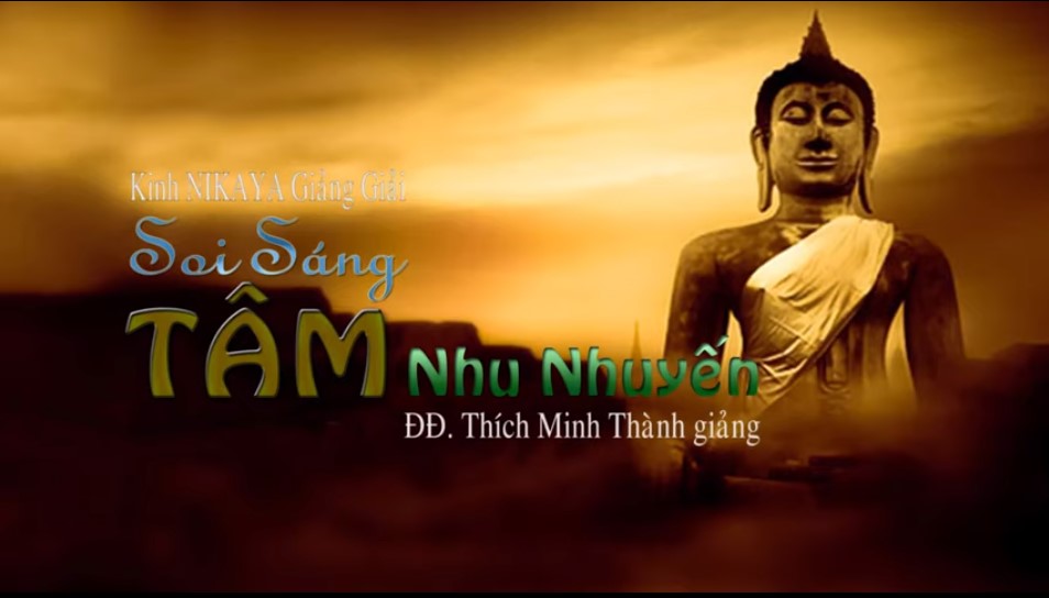 Kinh NIKAYA Giảng Giải - Soi Sáng - TÂM Nhu Nhuyến
