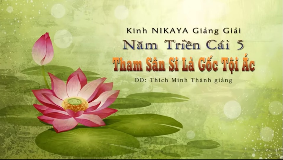 Kinh NIKAYA Giảng Giải - Tất Cả Là MÙ LÒA - ĐĐ. Thích Minh Thành