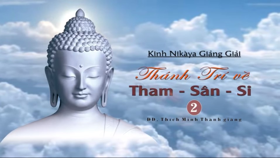 Kinh NIKAYA Giảng Giải - Thánh Trí Về Tham Sân Si 2