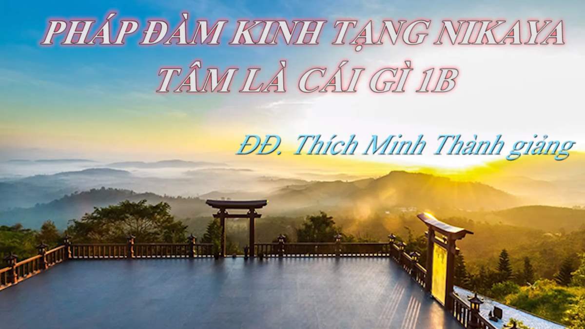 Pháp Đàm Kinh Tạng NIKAYA - Tâm Là Cái Gì 1B?