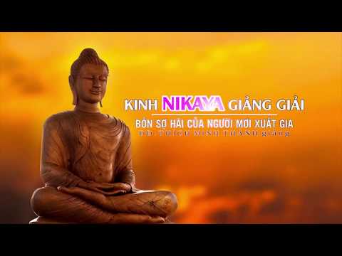 Kinh NIKAYA Giảng Giải - Bốn Sợ Hãi Của Người Mới Xuất Gia