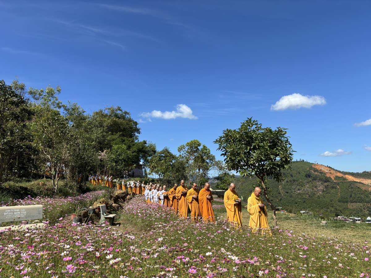 NIKAYA Khất Thực - Thế Tôn Ơi ! Con Muốn Về Nhà & Chia sẻ Cảm Xúc